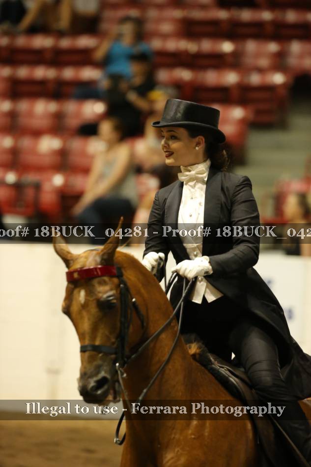 Proof 18BUCK_04281