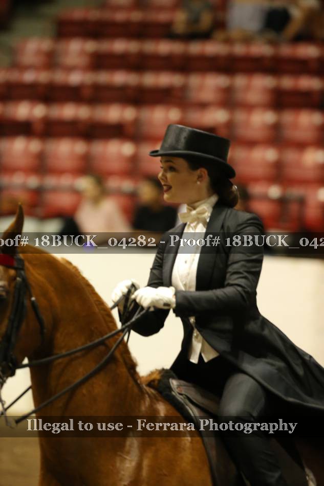 Proof 18BUCK_04282