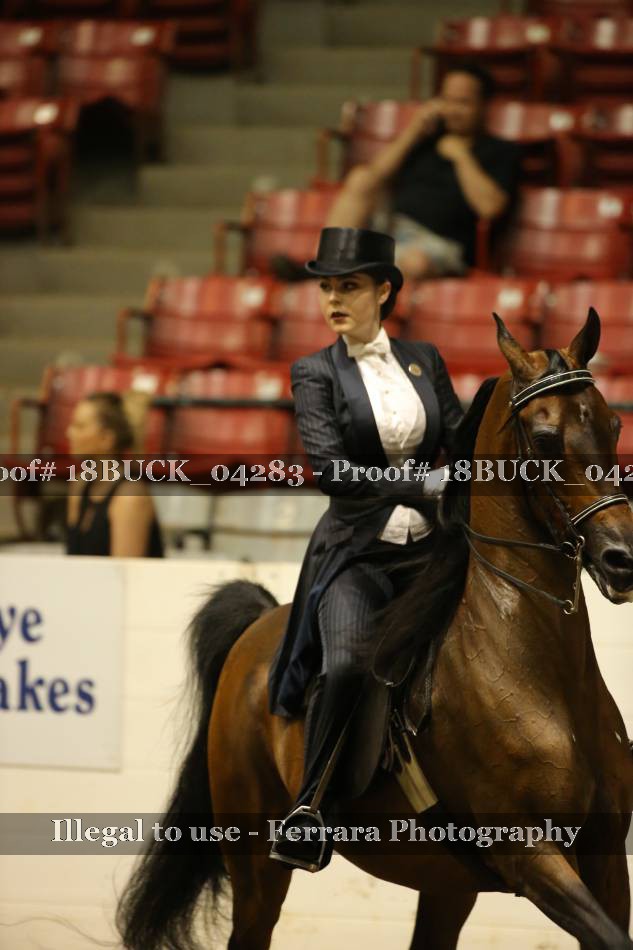 Proof 18BUCK_04283