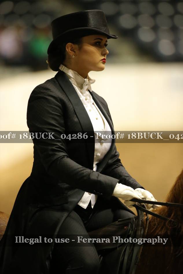 Proof 18BUCK_04286