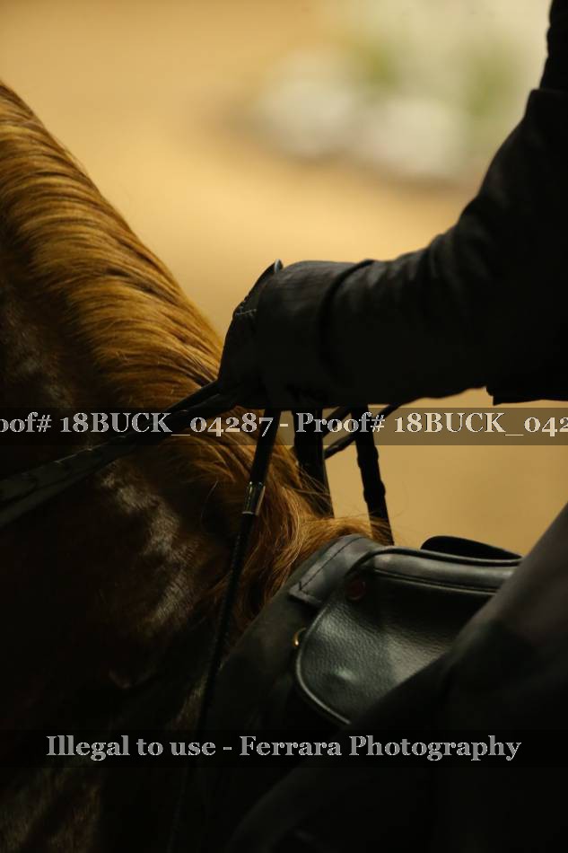 Proof 18BUCK_04287