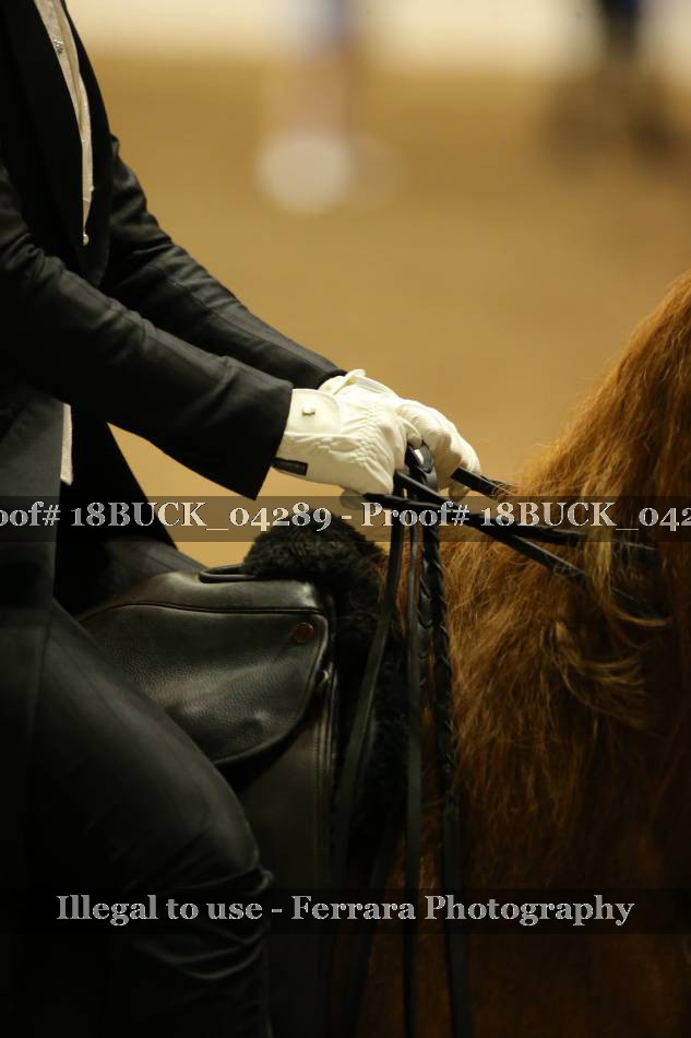 Proof 18BUCK_04289