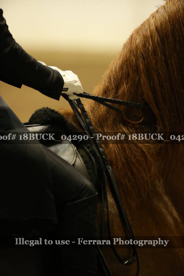 Proof 18BUCK_04290