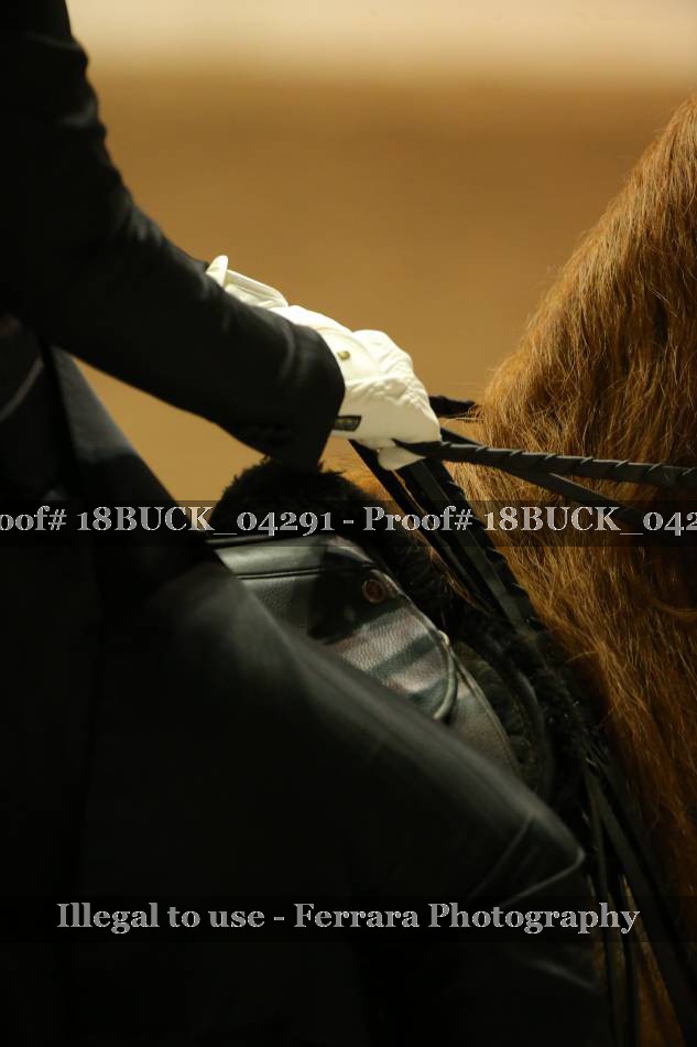 Proof 18BUCK_04291