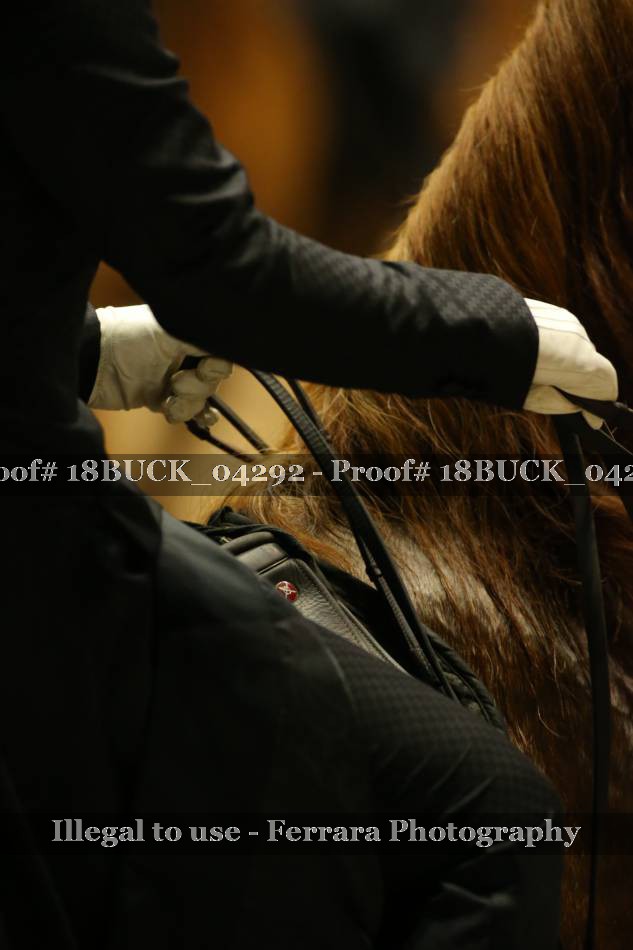Proof 18BUCK_04292