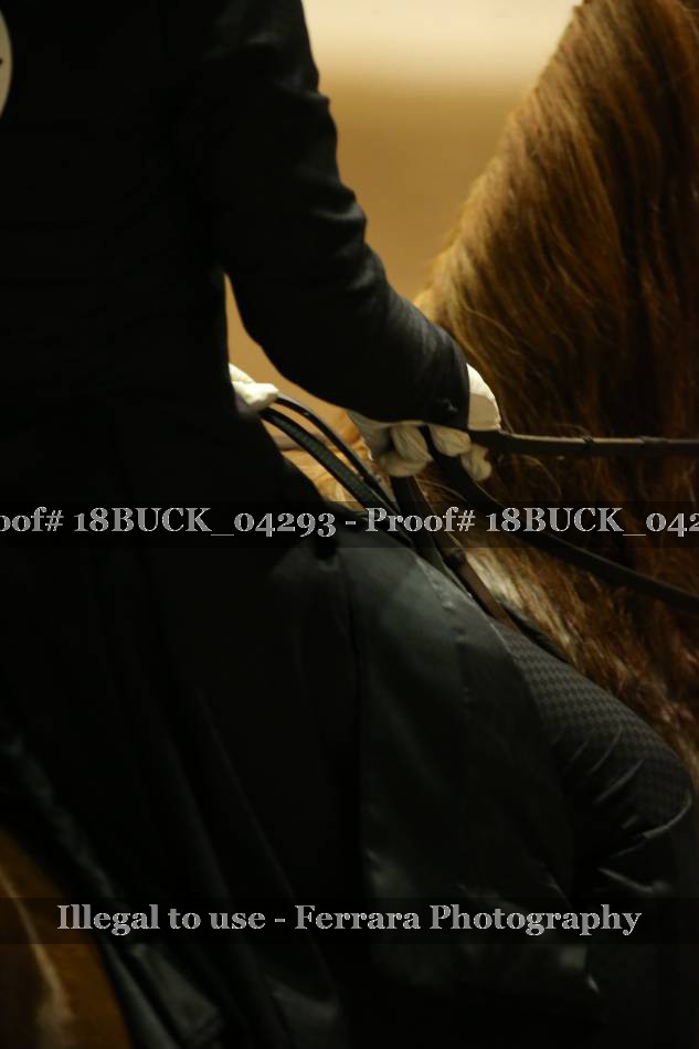 Proof 18BUCK_04293