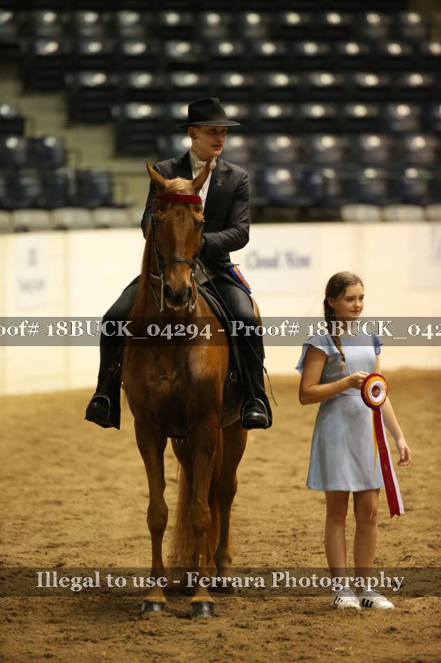 Proof 18BUCK_04294
