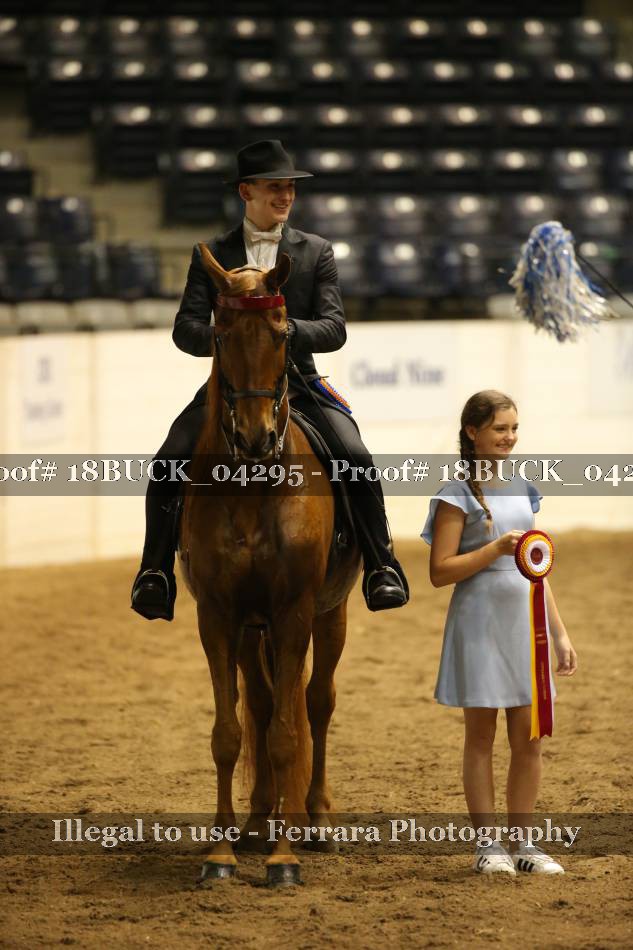 Proof 18BUCK_04295