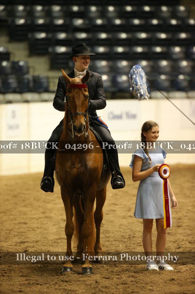 Proof 18BUCK_04296