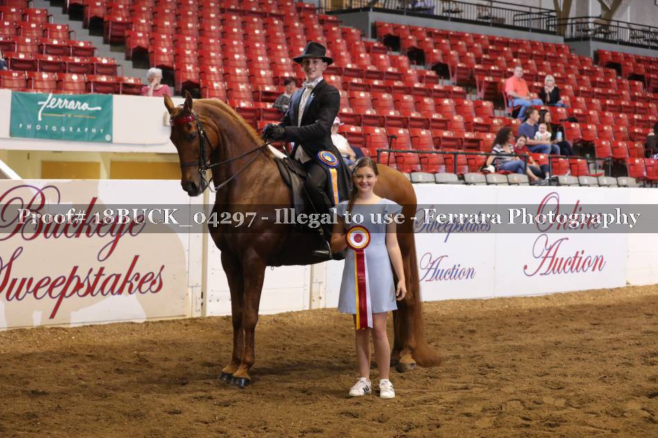 Proof 18BUCK_04297