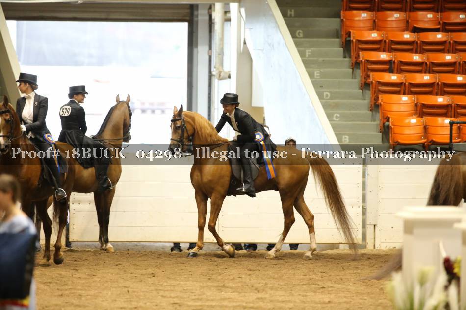 Proof 18BUCK_04298
