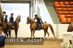 18BUCK_04298 proof