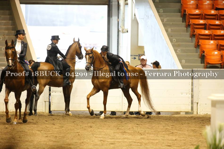 Proof 18BUCK_04299