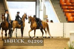 18BUCK_04299 proof