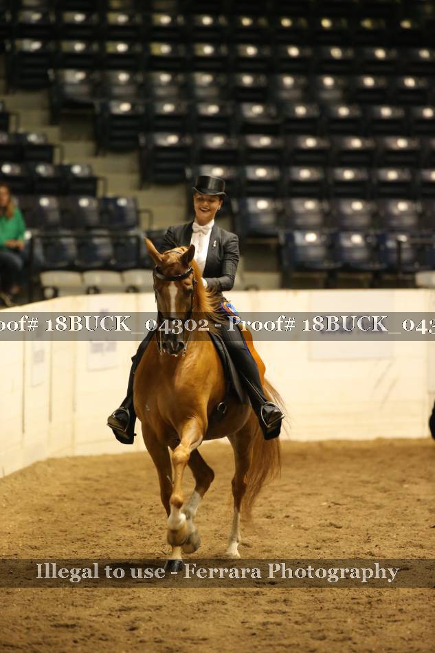 Proof 18BUCK_04302