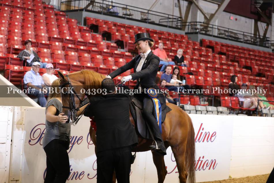 Proof 18BUCK_04303