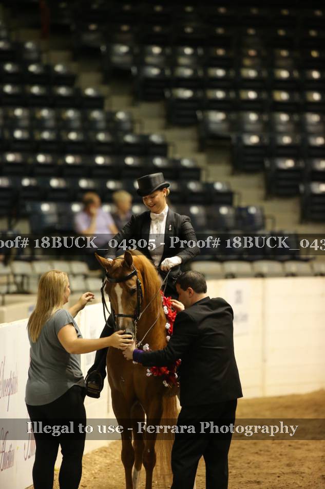 Proof 18BUCK_04305