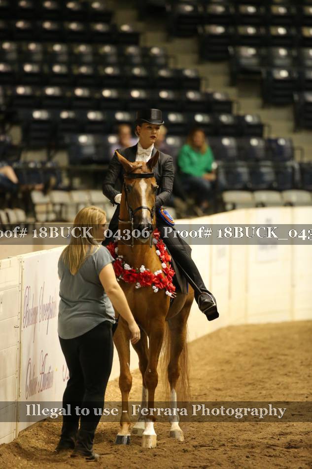 Proof 18BUCK_04306