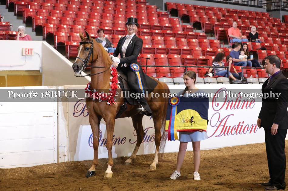 Proof 18BUCK_04307