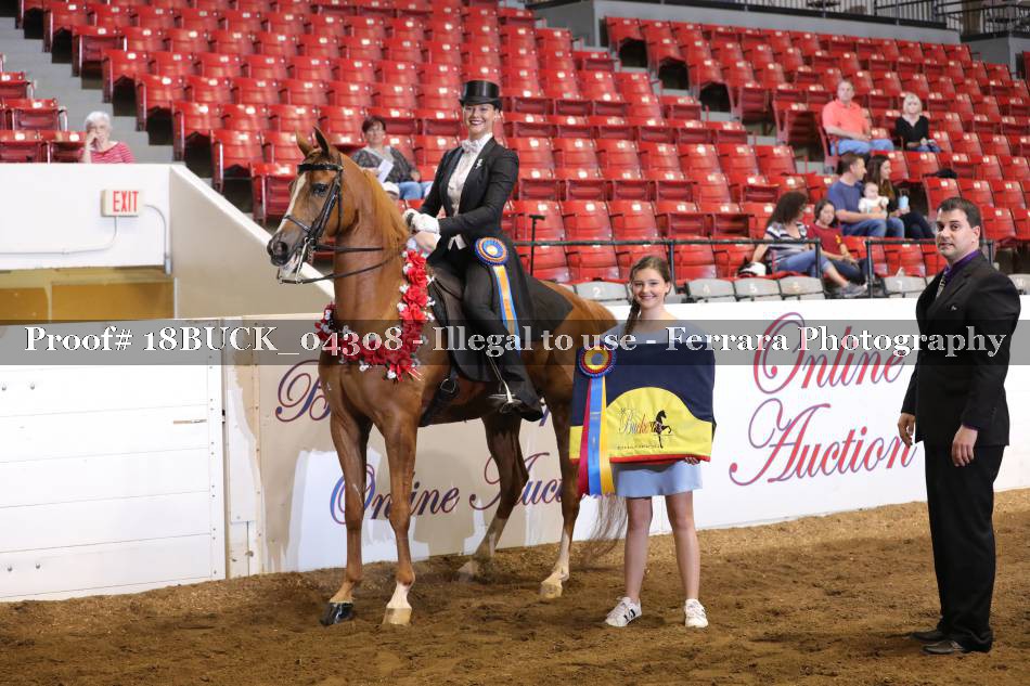 Proof 18BUCK_04308