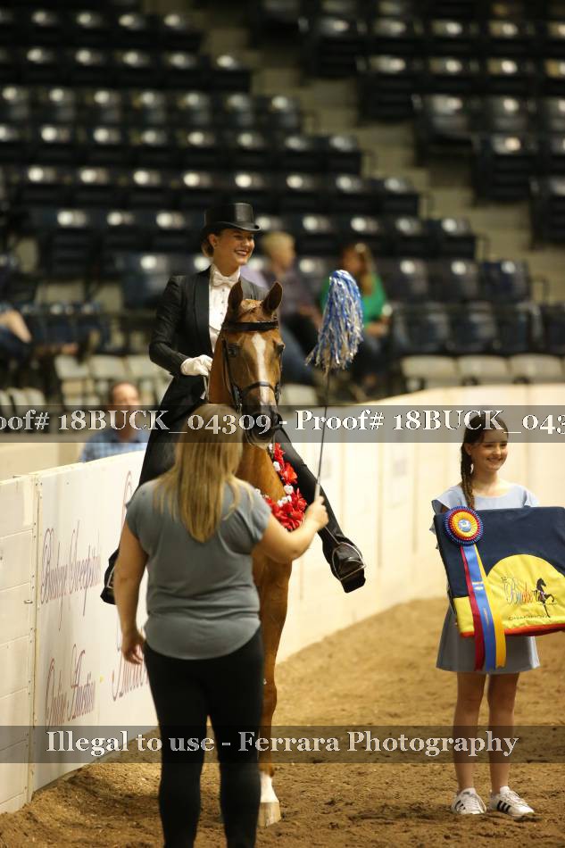 Proof 18BUCK_04309