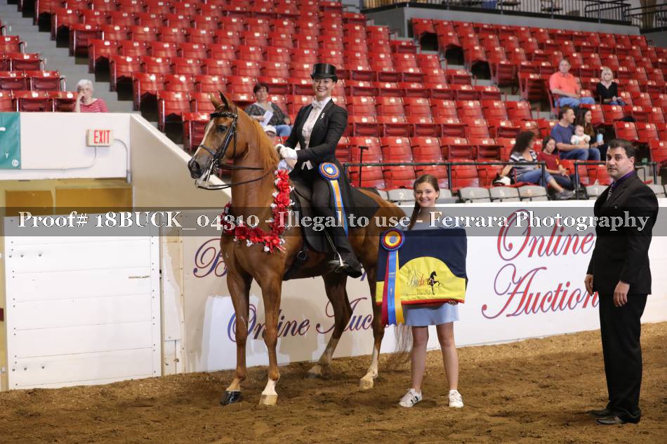 Proof 18BUCK_04310