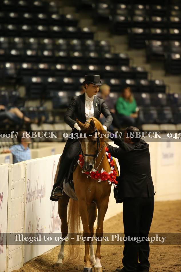 Proof 18BUCK_04311