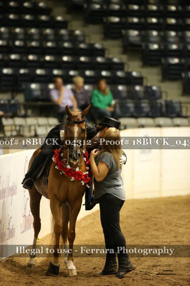 Proof 18BUCK_04312