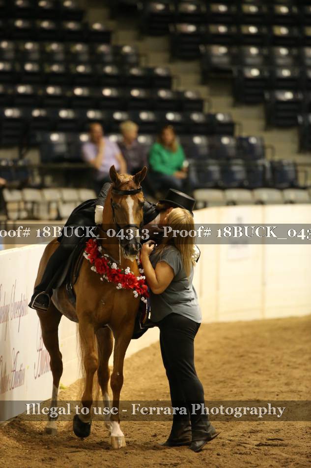 Proof 18BUCK_04313