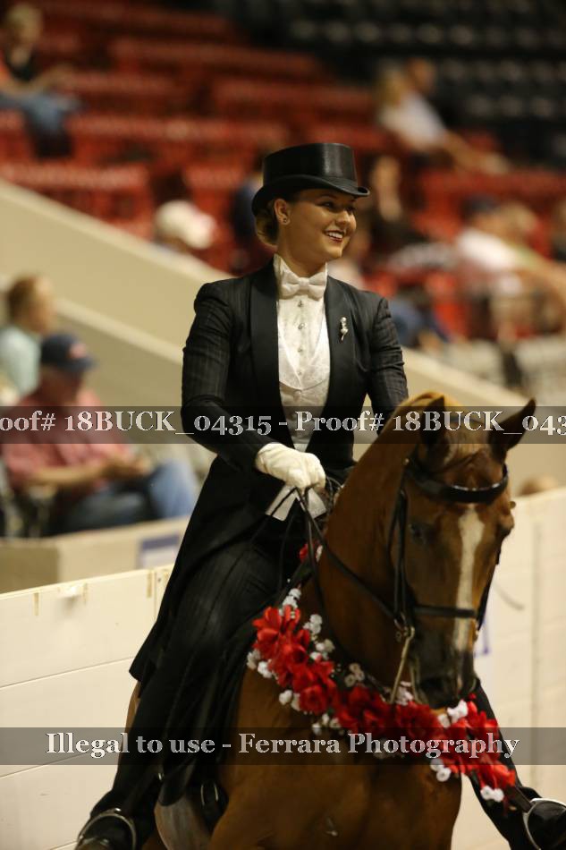 Proof 18BUCK_04315