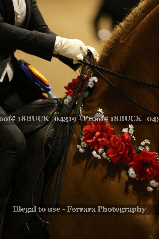 Proof 18BUCK_04319