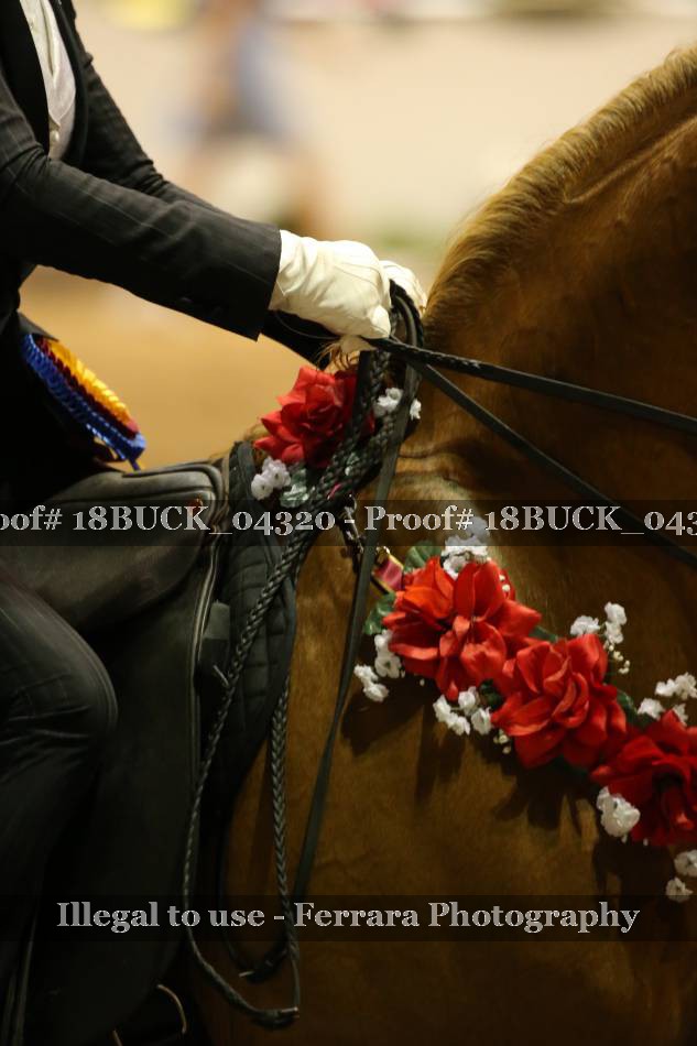 Proof 18BUCK_04320