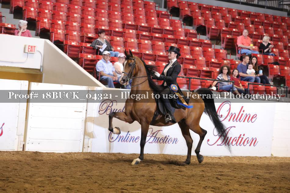 Proof 18BUCK_04321