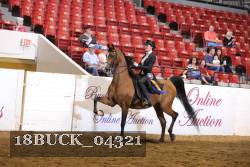 18BUCK_04321 proof