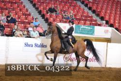 18BUCK_04322 proof