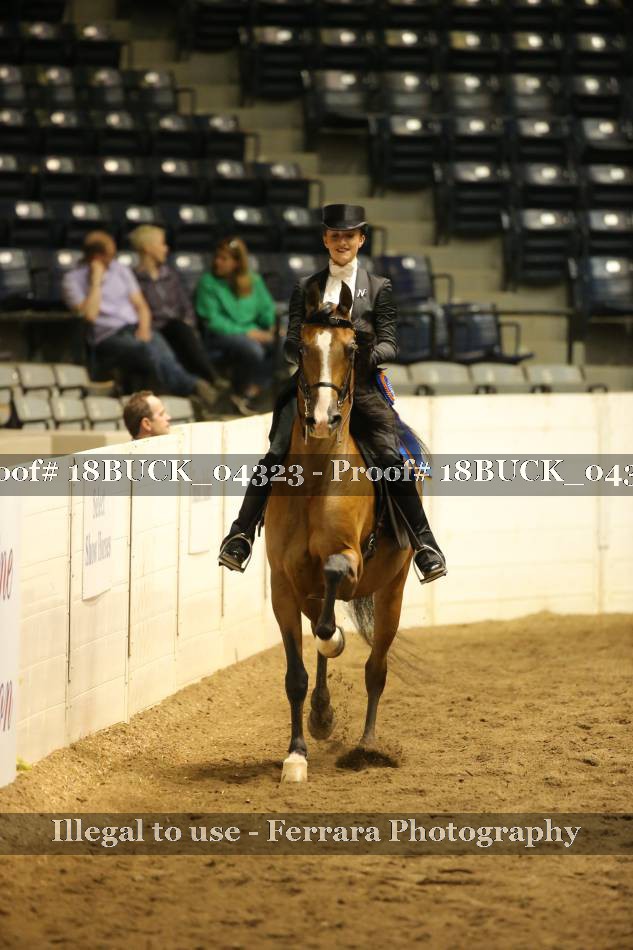 Proof 18BUCK_04323
