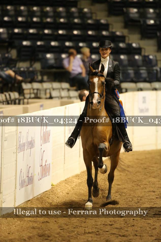 Proof 18BUCK_04324