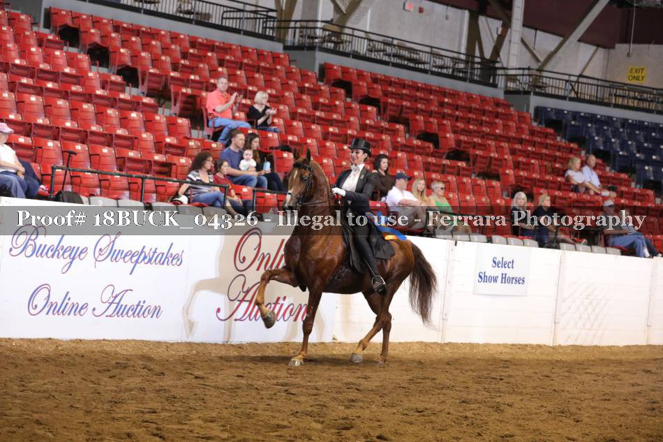 Proof 18BUCK_04326