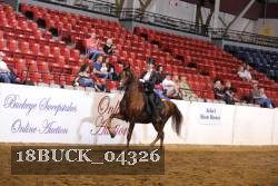 18BUCK_04326 proof