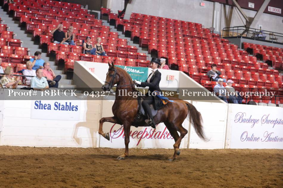 Proof 18BUCK_04327