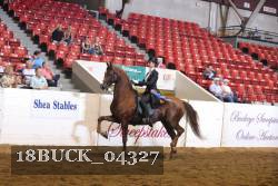 18BUCK_04327 proof