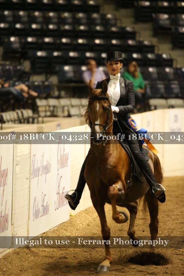 Proof 18BUCK_04328