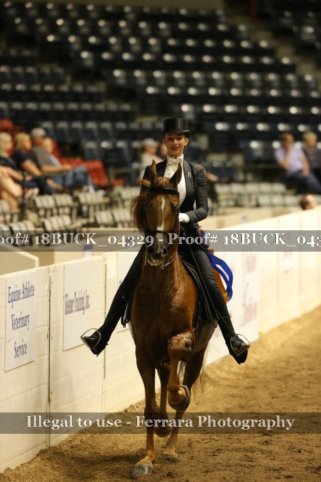 Proof 18BUCK_04329