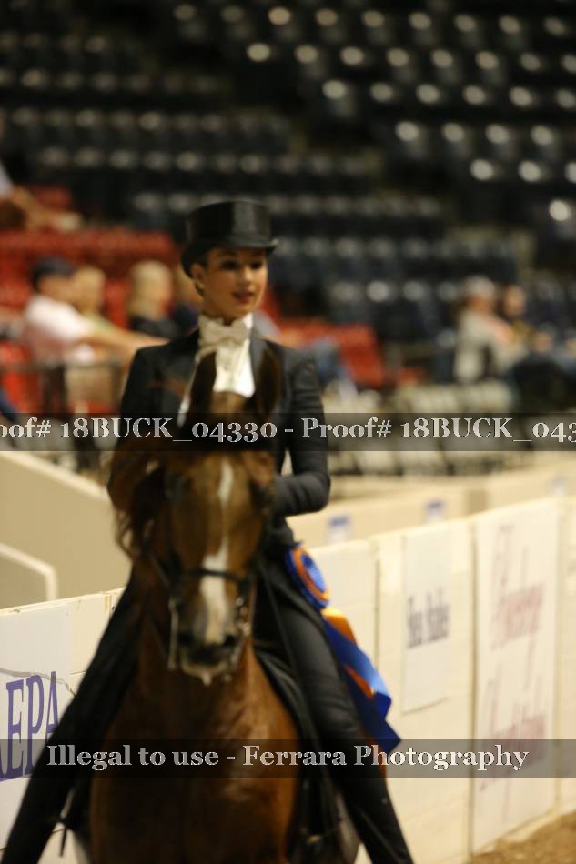 Proof 18BUCK_04330