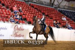 18BUCK_04332 proof