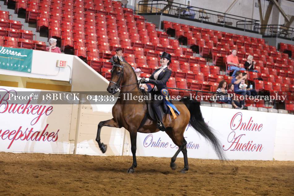 Proof 18BUCK_04333