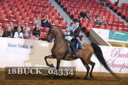 18BUCK_04334 proof