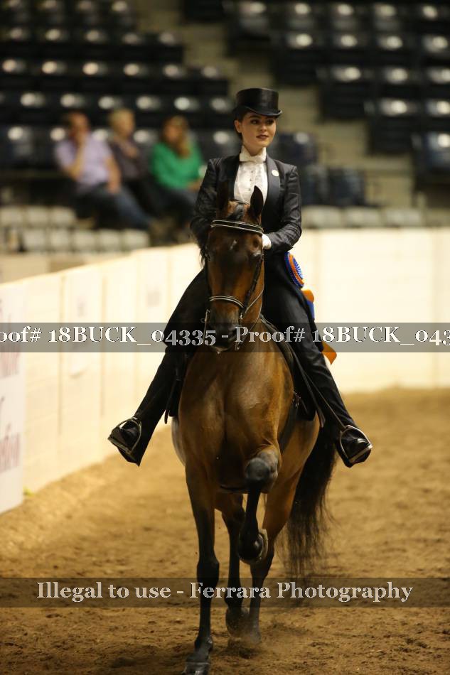 Proof 18BUCK_04335