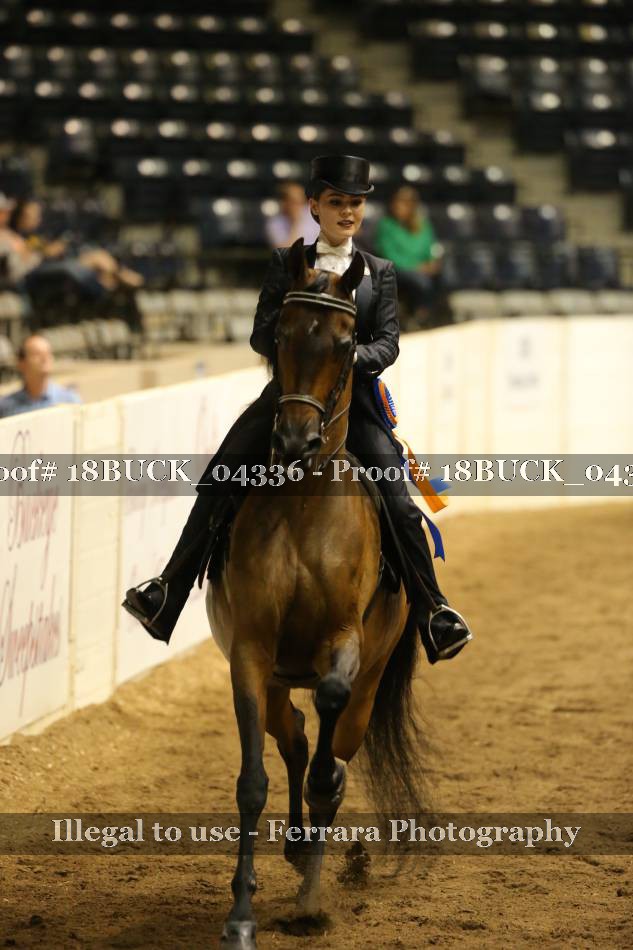 Proof 18BUCK_04336