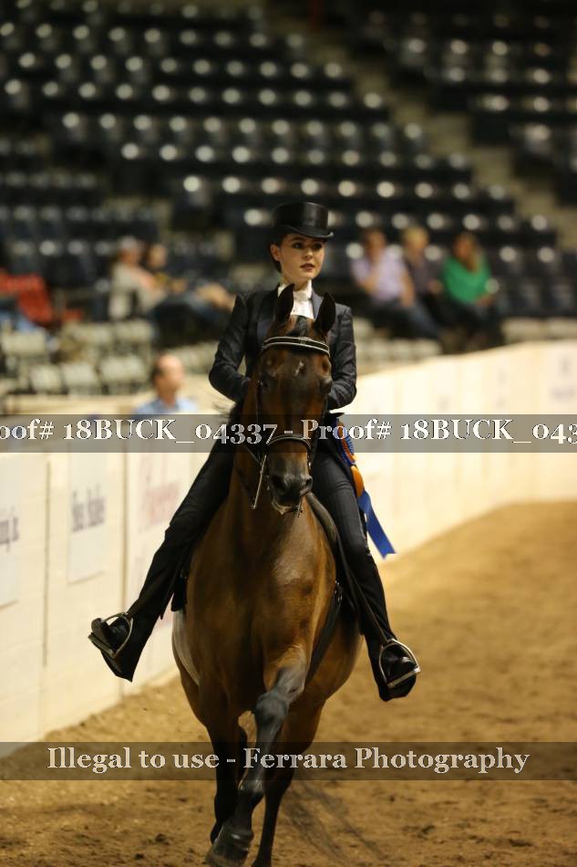 Proof 18BUCK_04337